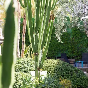 Hotel Mercure Centre Notre Dame, Nicea
